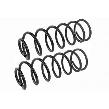 1981 Oldsmobile Toronado Coil Spring Set