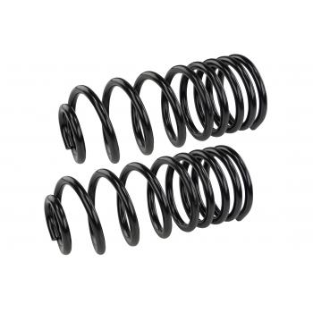 1980 Chevrolet Monza Coil Spring Set