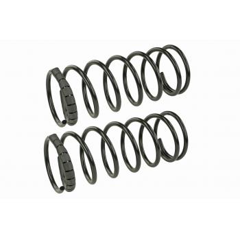 2003 Ford Escort Coil Spring Set