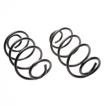 MOOG 6321 - Coil Spring Set Product image