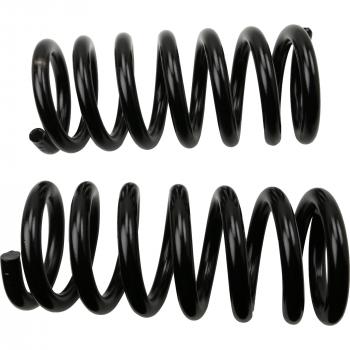 MOOG 80994 - Coil Spring Set Product image