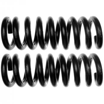 2007 Chevrolet Express 3500 Coil Spring Set
