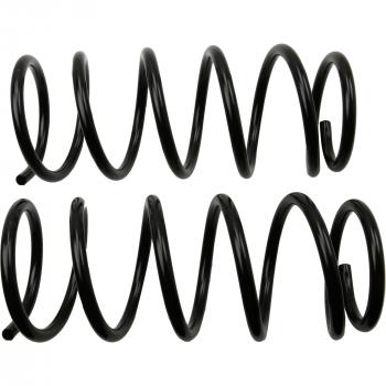 MOOG 81645 - Coil Spring Set Product image