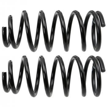 MOOG 81682 - Coil Spring Set Product image