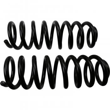 2018 Dodge Durango Coil Spring Set Front Moog 81742 image 2 of 3