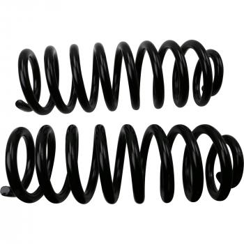 2018 Dodge Durango Coil Spring Set Front Moog 81744 image 3 of 3