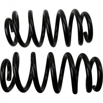 2018 Toyota RAV4 Coil Spring Set Rear Moog 81749 image 2 of 2