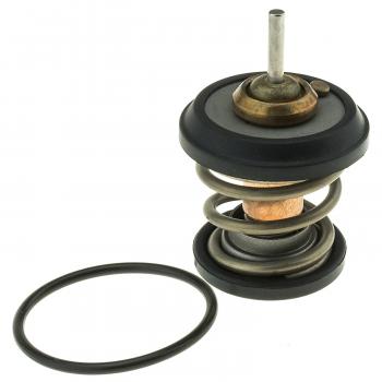 2016 Volkswagen Amarok Engine Coolant Thermostat