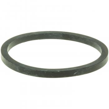 1995 Dodge Ram 2500 Engine Coolant Thermostat Seal Outer MotoRad MG187 image 2 of 2