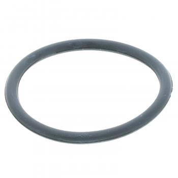 1979 Mercury Capri Engine Coolant Thermostat Seal