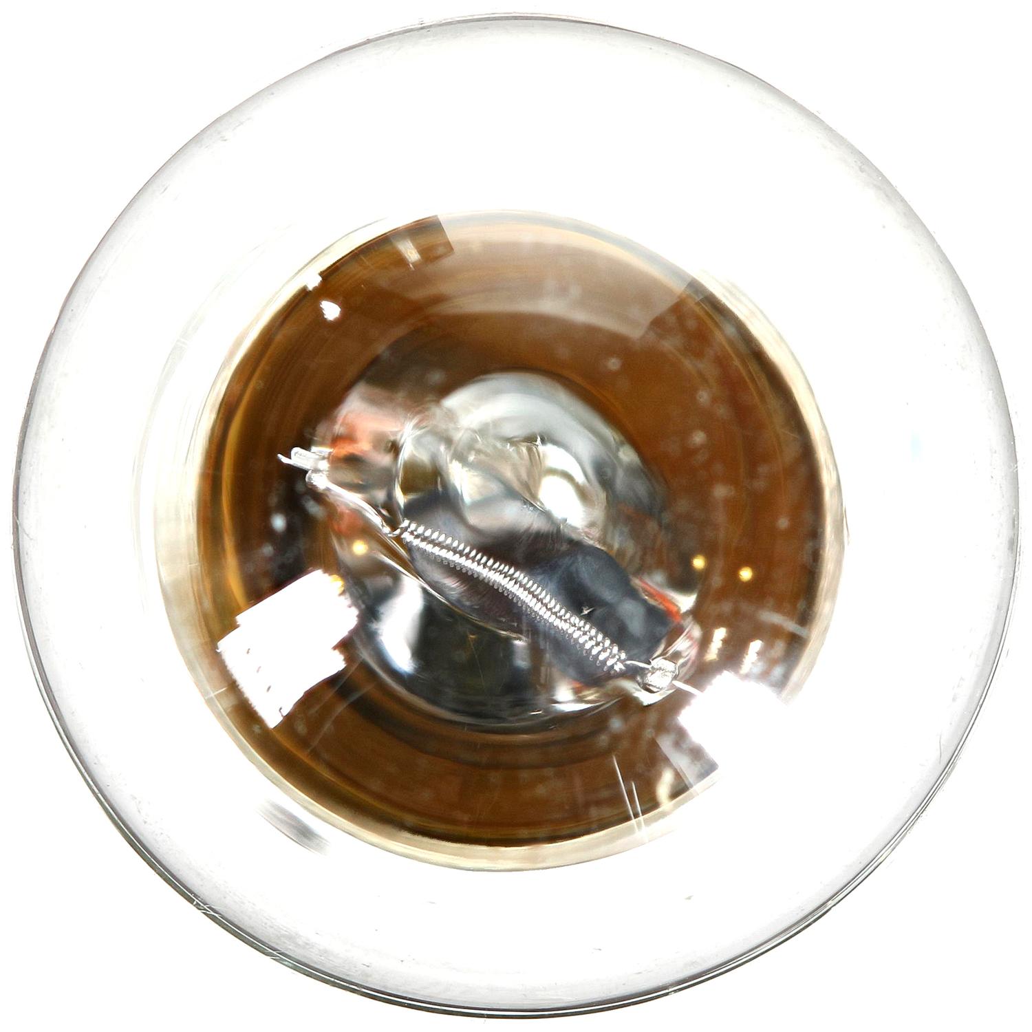 Philips 1142CP Back Up Light Bulb product image 2 of 10