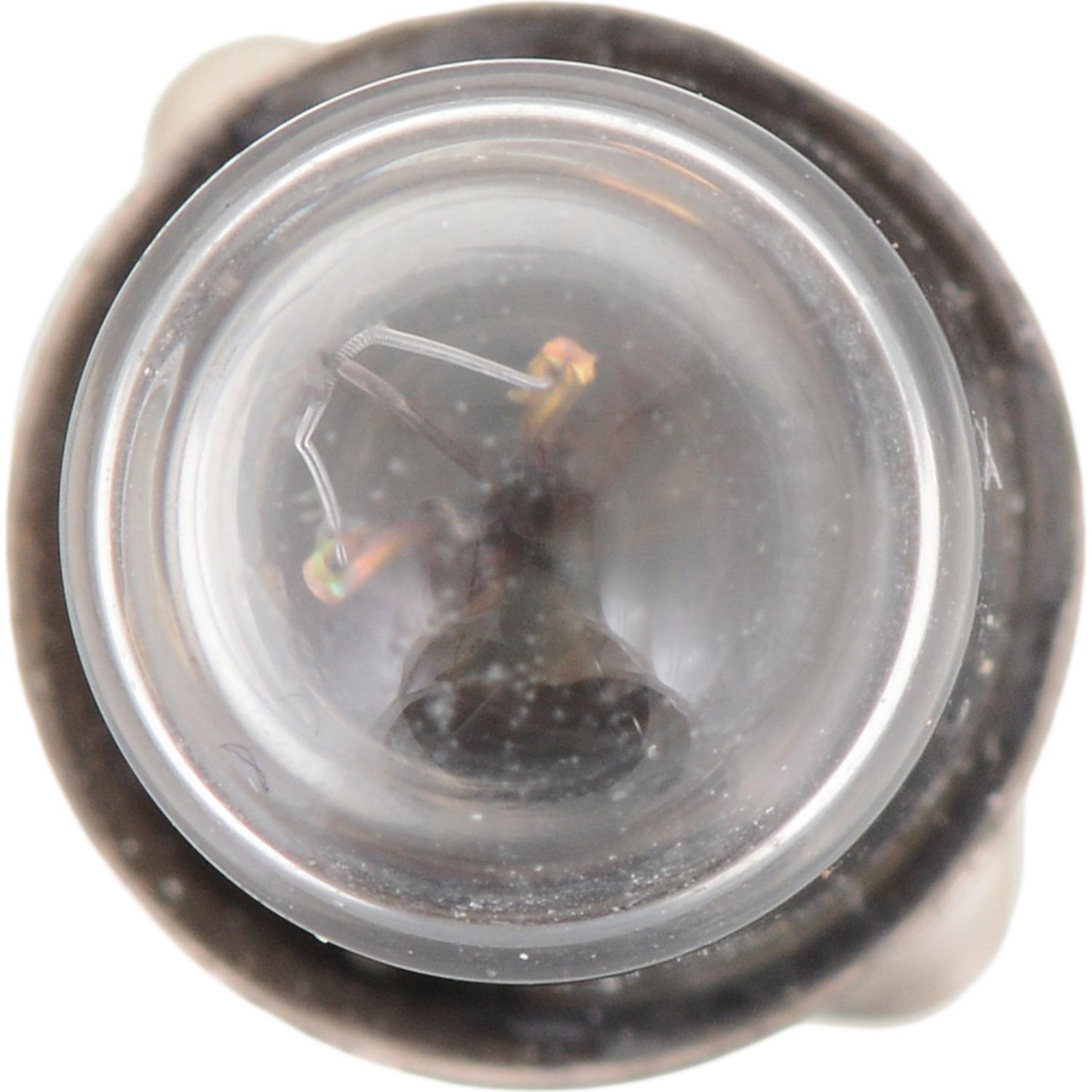 Philips 12829CP - Multi Purpose Light Bulb Philips 12829CP Ash Tray Light Bulb product image 9 of 9