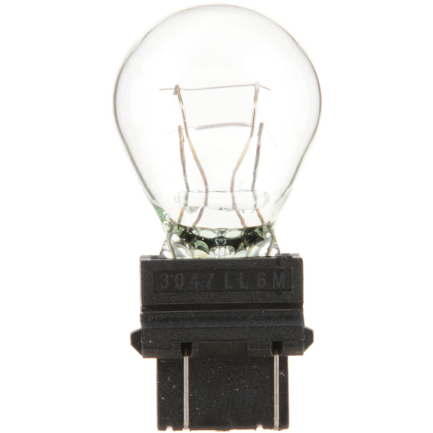 Philips 3047LLCP Back Up Light Bulb product image 1 of 10