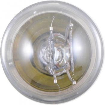 2000 Mitsubishi Diamante Tail Light Bulb Philips 3496LLB2 image 2 of 4
