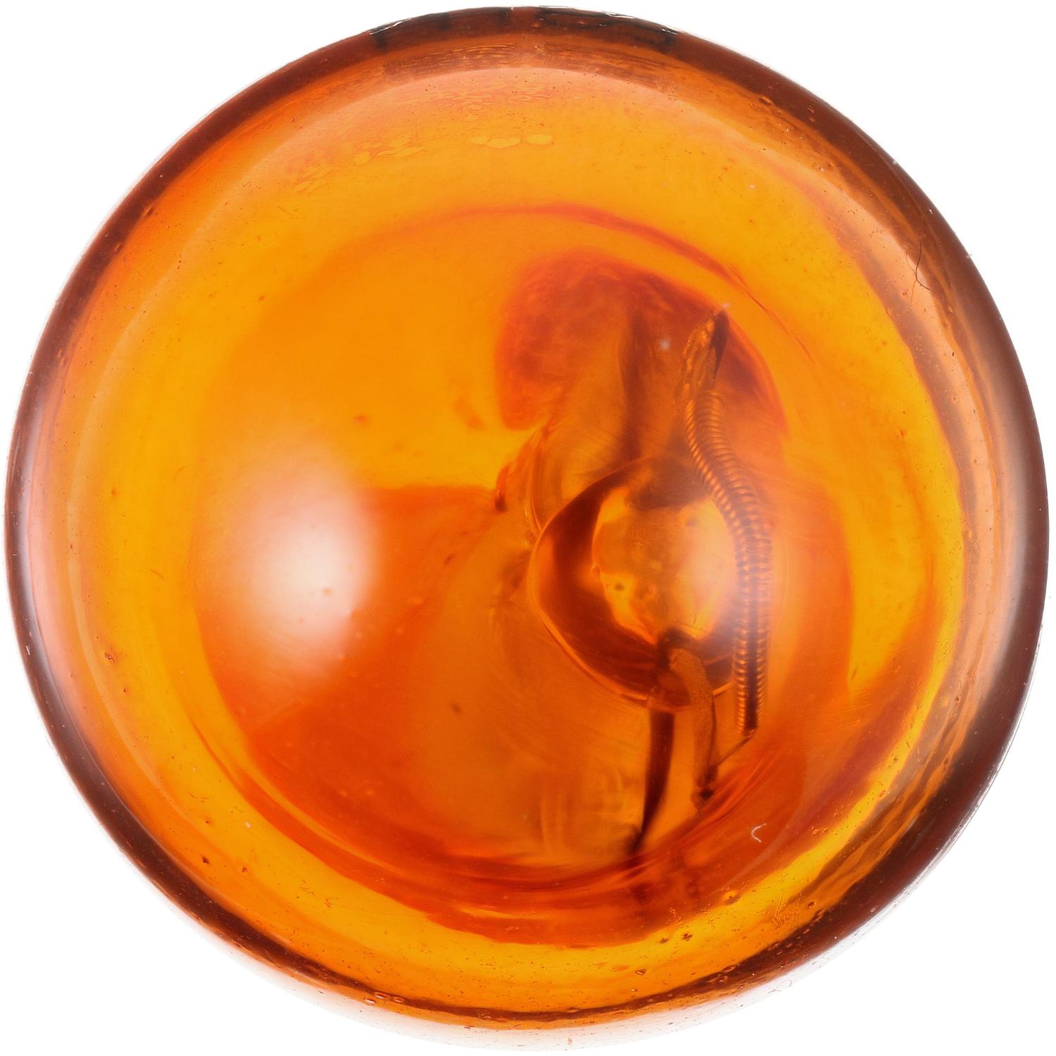 Philips 921NALLB2 - Turn Signal Light Bulb Philips 921NALLB2 Side Mirror Signal Lamp Bulb product image 2 of 10