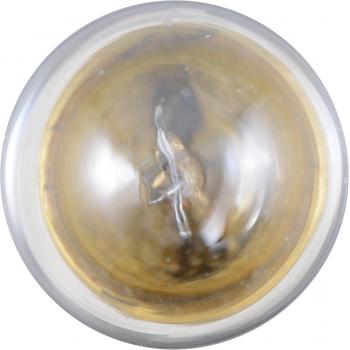 1997 Ford F Super Duty License Light Bulb Philips 97B2 image 2 of 4