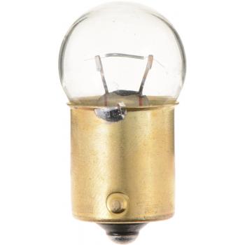 1997 Ford F Super Duty License Light Bulb Philips 97CP image 1 of 4