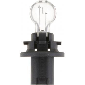 2016 Cadillac SRX Back Up Light Bulb Philips HPC16WC1 image 3 of 4