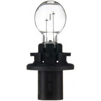 2009 GMC Acadia Back Up Light Bulb