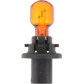 2011 Cadillac CTS Turn Signal Light Bulb