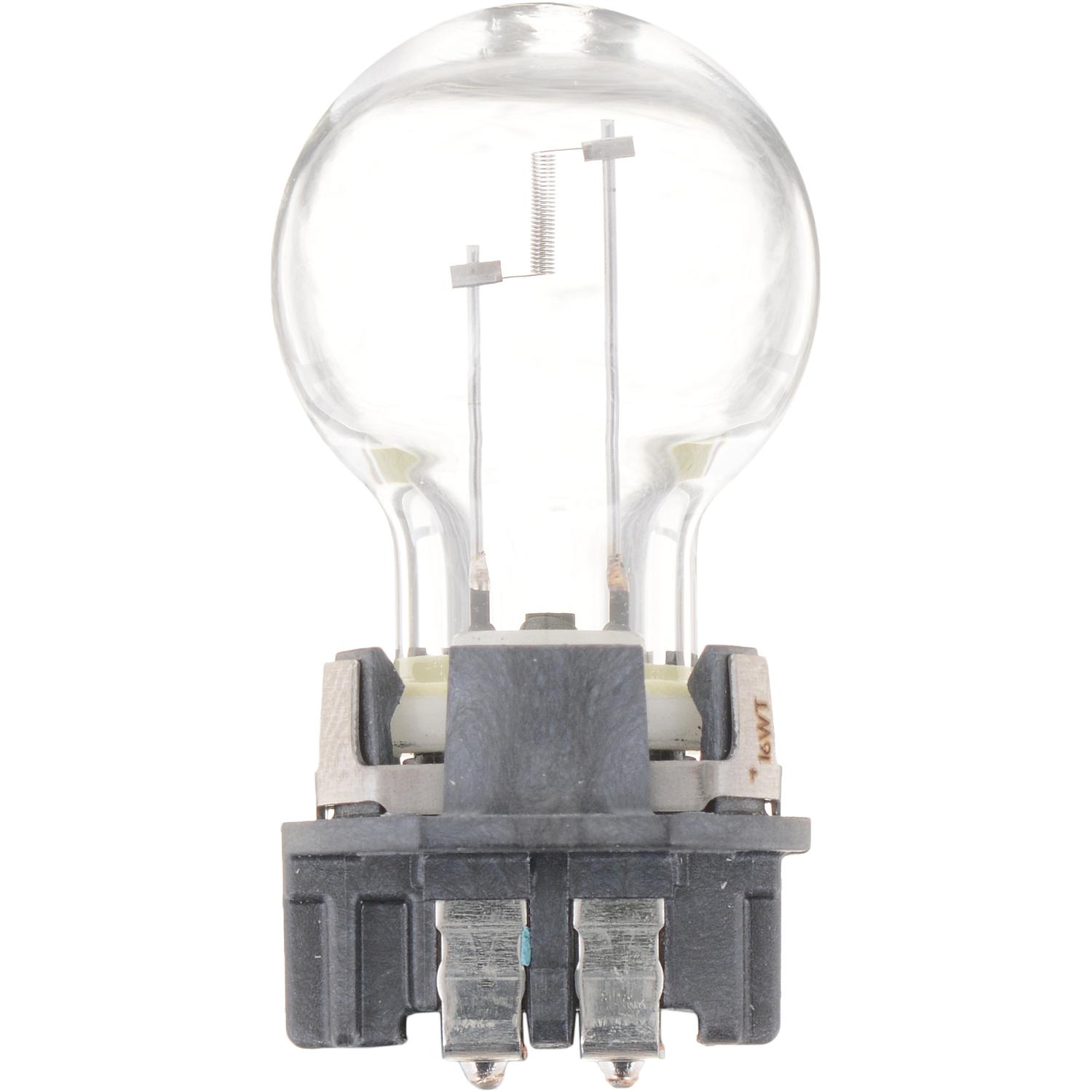 Philips PW16WHTRC1 Back Up Light Bulb product image 1 of 9