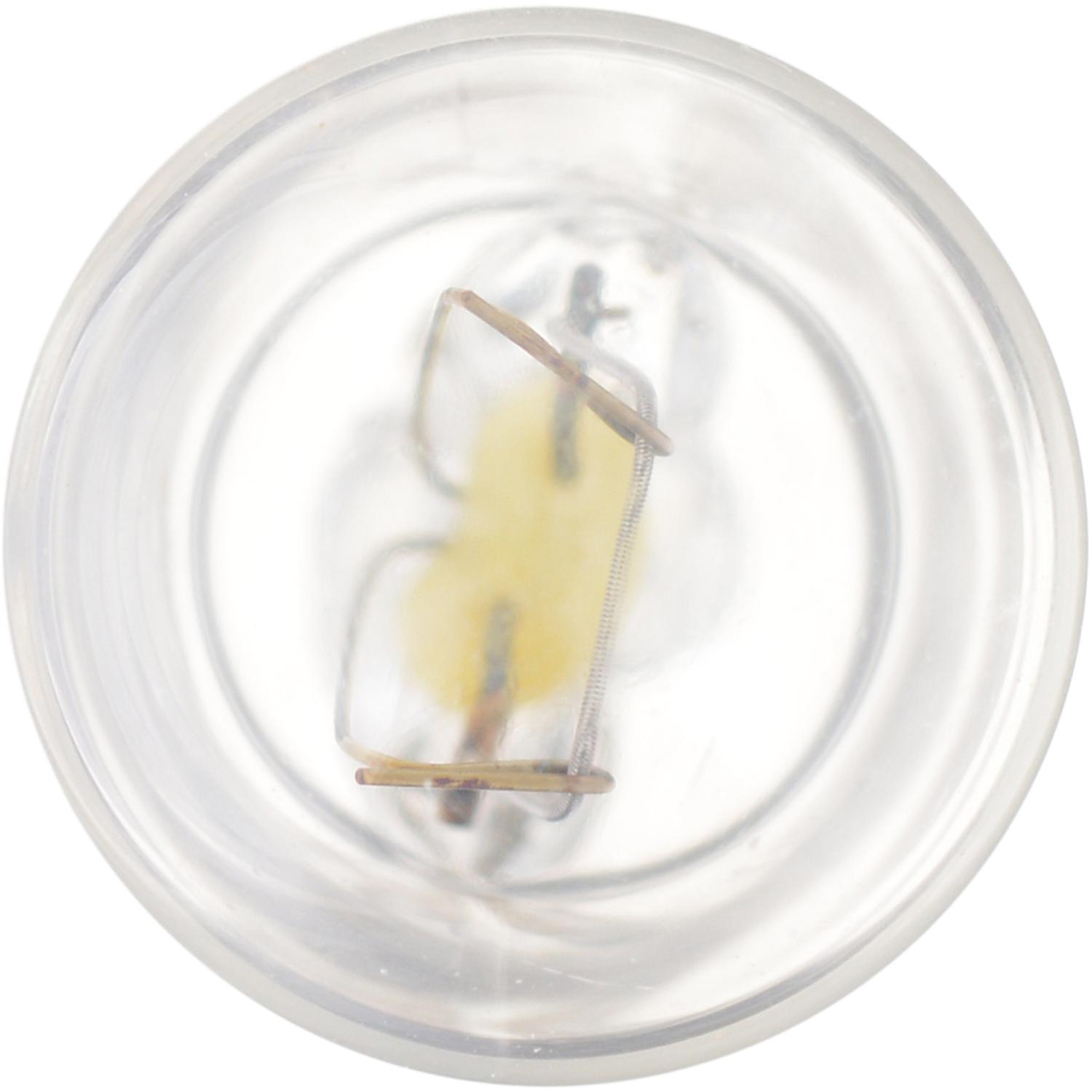 Philips W3WCP24V Multi Purpose Light Bulb product image 9 of 9