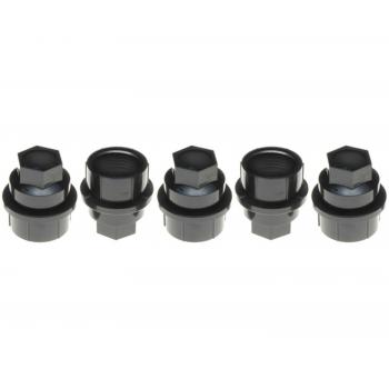 2000 GMC Safari Wheel Fastener Cover Raybestos 10048N image 1 of 1