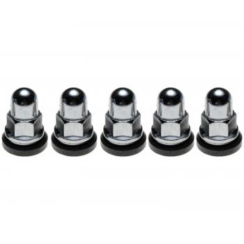 1999 Ford F-150 Wheel Lug Nut Raybestos 10113N image 1 of 1