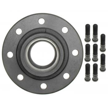 RAYBESTOS 4294R - Axle Hub Product image