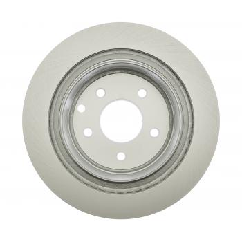 RAYBESTOS 980113FZN - Disc Brake Rotor Product image