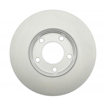 RAYBESTOS 980295FZN - Disc Brake Rotor Product image