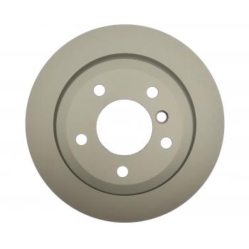 2015 BMW X1 Disc Brake Rotor Rear Raybestos 980495FZN image 3 of 3
