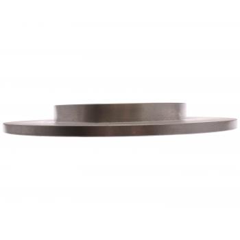 2023 Kia Telluride Disc Brake Rotor Rear Raybestos 982513R image 1 of 3
