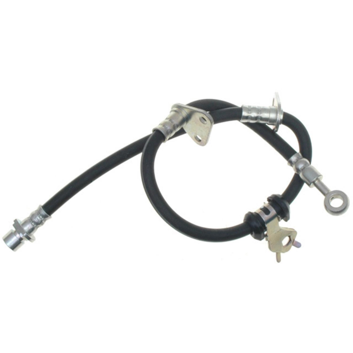 Raybestos BH380059 - Brake Hydraulic Hose Raybestos BH380059 Brake Hydraulic Hose product image 2 of 2