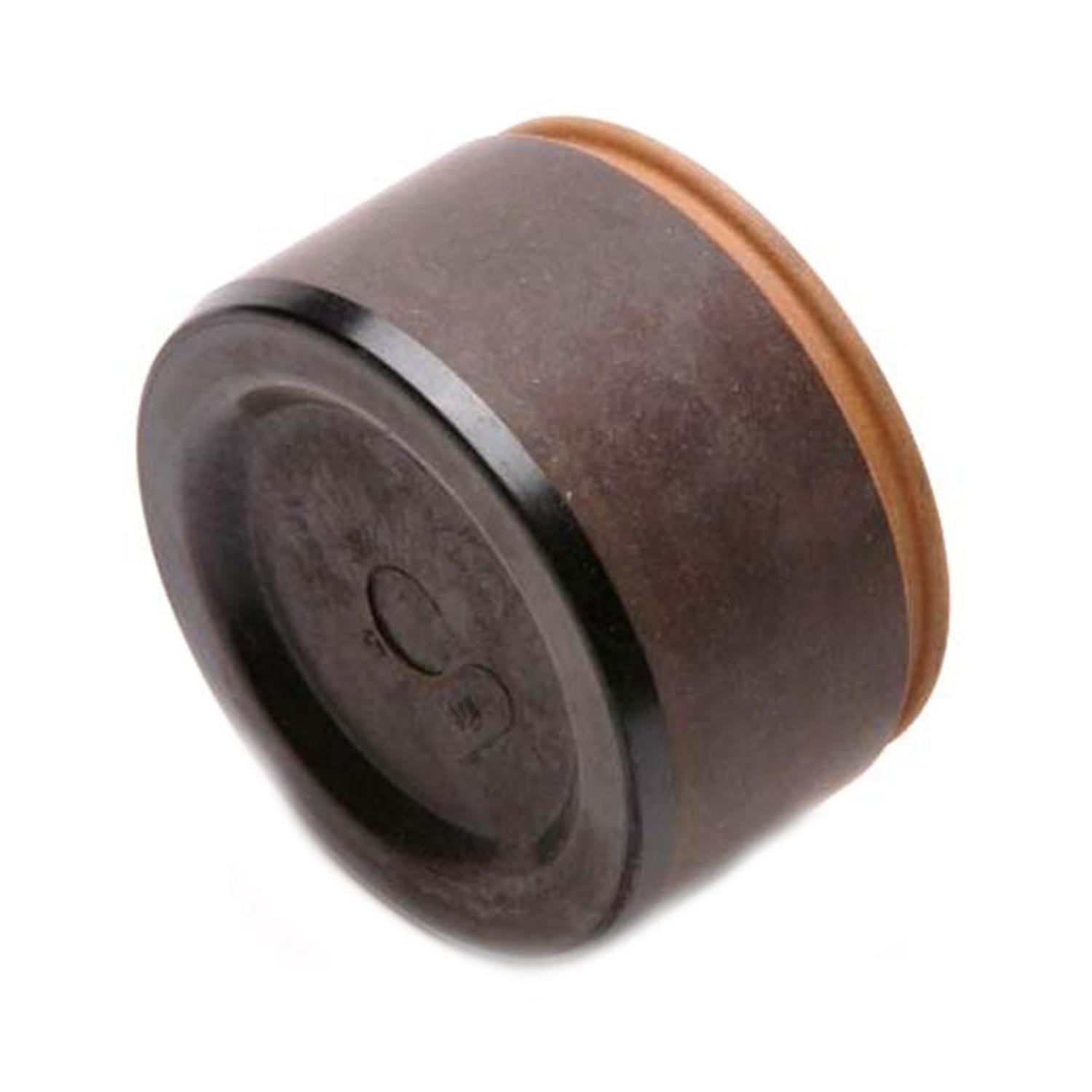 Raybestos DP85020 - Disc Brake Caliper Piston Raybestos DP85020 Disc Brake Caliper Piston product image 1 of 2