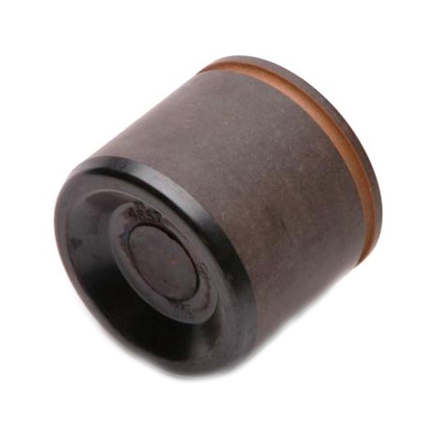 Raybestos DP85030 Disc Brake Caliper Piston product image 1 of 2