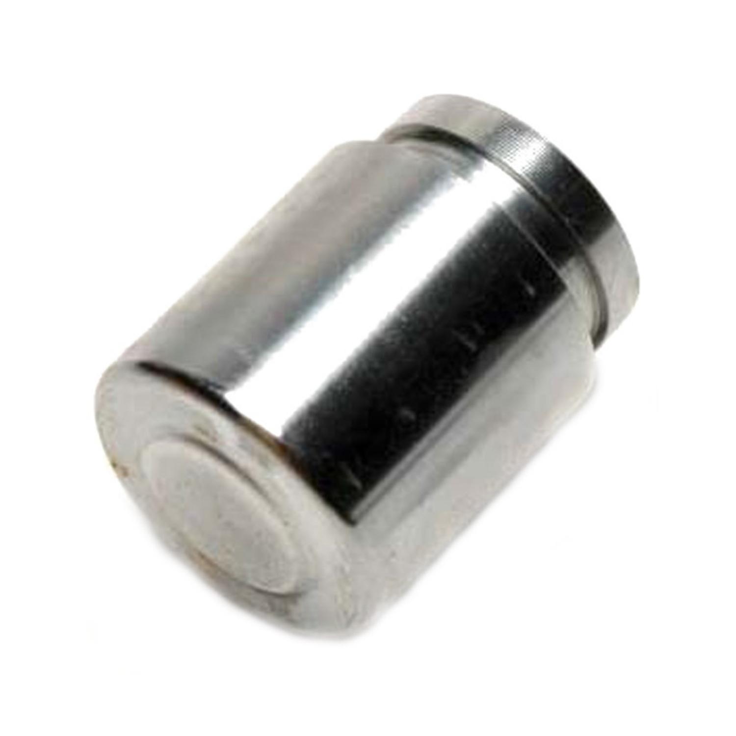 Raybestos DPS85198 - Disc Brake Caliper Piston Raybestos DPS85198 Disc Brake Caliper Piston product image 1 of 2