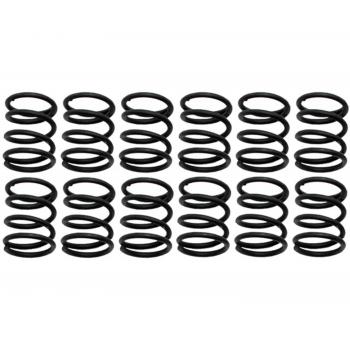 1982 Dodge D50 Drum Brake Shoe Hold Down Spring