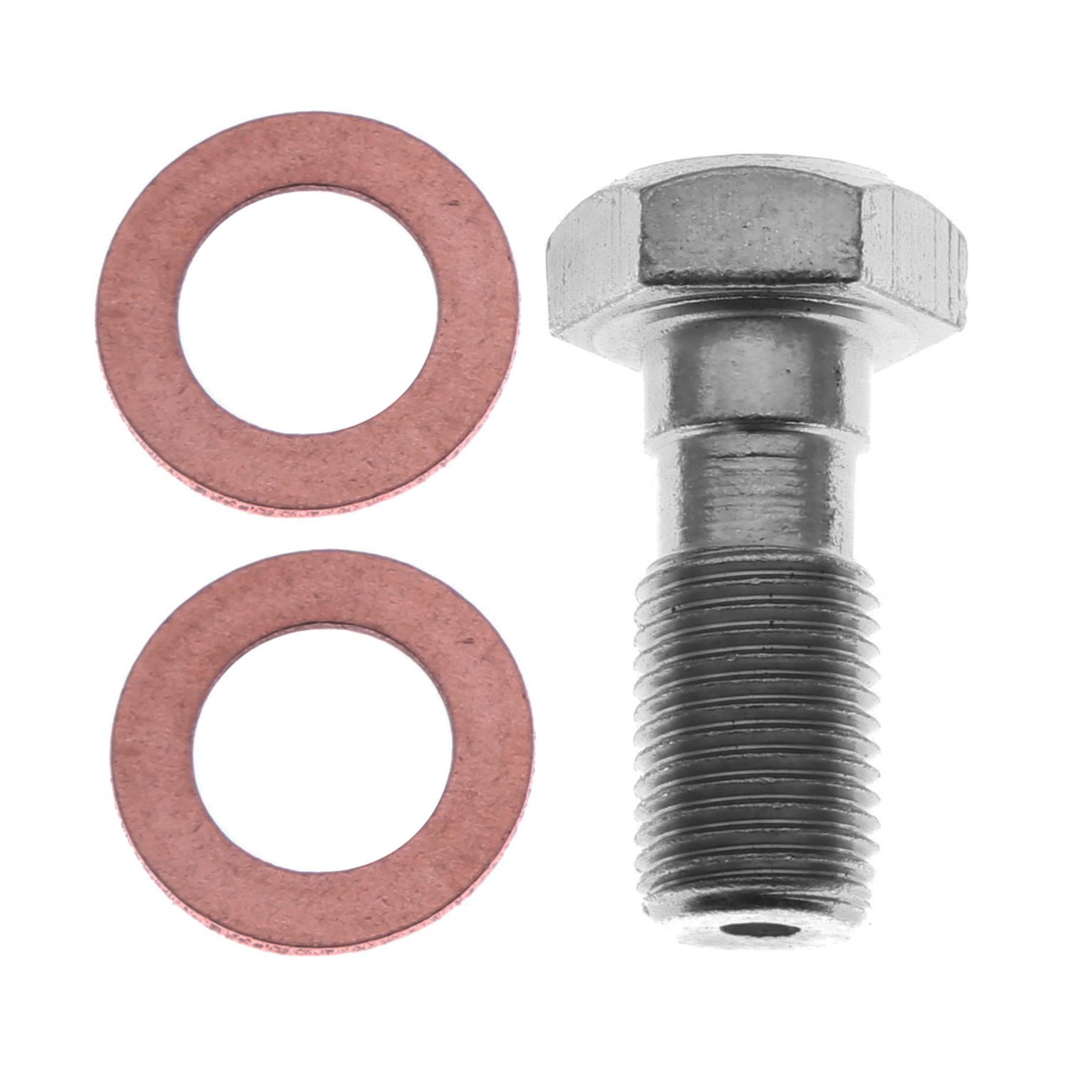 Raybestos H5388 - Brake Hydraulic Banjo Bolt Raybestos H5388 Brake Hydraulic Banjo Bolt product image 1 of 1