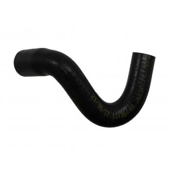 1996 Volkswagen Jetta Engine Coolant Hose Oil Cooler To Pipe Rein Automotive CHE0160R image 2 of 4