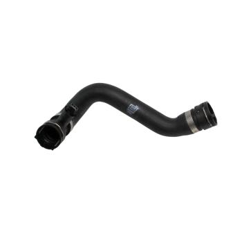2000 BMW 328i Radiator Coolant Hose Kit Lower - Radiator To Thermostat Rein Automotive CHK0002P image 4 of 4