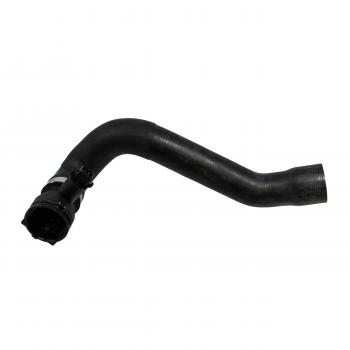 2006 BMW M3 Radiator Coolant Hose Kit Lower - Radiator To Thermostat Rein Automotive CHK0376R image 3 of 4