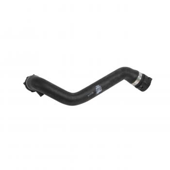 1999 BMW 528i Radiator Coolant Hose Lower Rein Automotive CHR0005P image 2 of 4