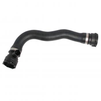 2008 BMW 750i Radiator Coolant Hose Lower - Radiator To Thermostat Rein Automotive CHR0009P image 2 of 4