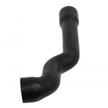 2000 BMW Z3 Radiator Coolant Hose Upper - Thermostat To Radiator Rein Automotive CHR0014R image 4 of 4