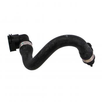 1999 BMW 740i Radiator Coolant Hose Lower - Heat Exchanger To Radiator Rein Automotive CHR0019P image 1 of 4
