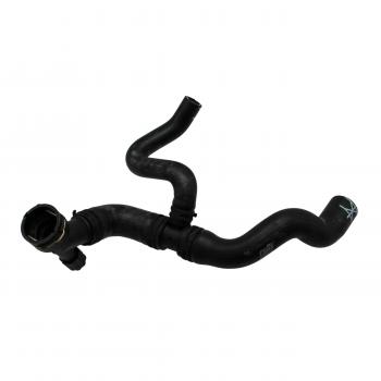 2000 Volkswagen Jetta Radiator Coolant Hose Lower - Main Radiator Rein Automotive CHR0027P image 3 of 4