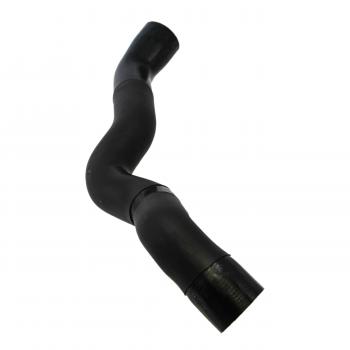 Rein Automotive CHR0038R Radiator Coolant Hose product image 5 of 6