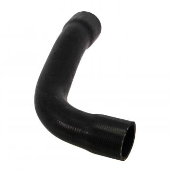 Rein Automotive CHR0044R Radiator Coolant Hose product image 5 of 6