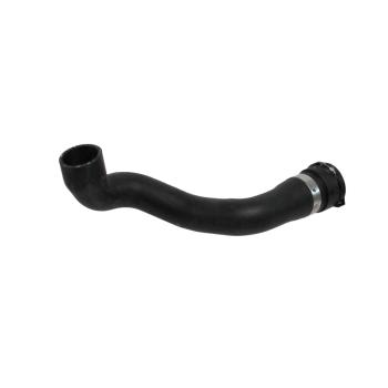 2000 BMW Z3 Radiator Coolant Hose Lower Rein Automotive CHR0048P image 1 of 4